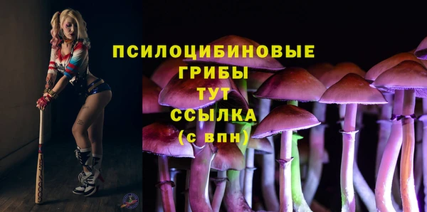 спиды Алексин