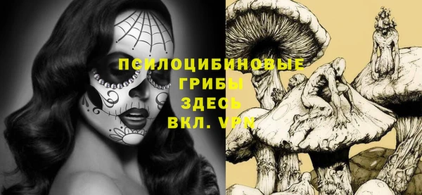 спайс Алексеевка