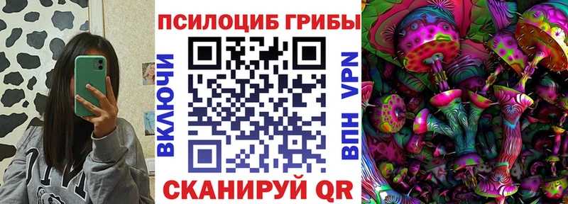 Галлюциногенные грибы Psilocybine cubensis  hydra как войти  Ардатов  цены  